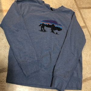 Large Patagonia Roy Bison Crewneck